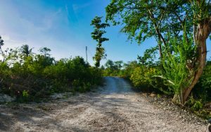The path to our secluded Sambag Hideaway