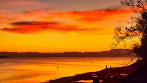 Moalboal sunset - the sun meets the ocean